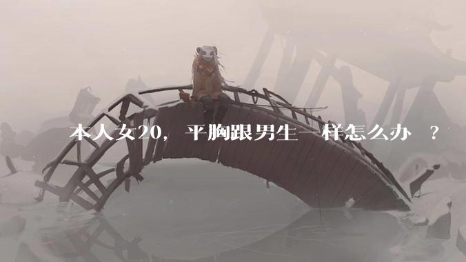 本人女20，平胸跟男生一样怎么办 ?