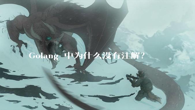 Golang 中为什么没有注解？