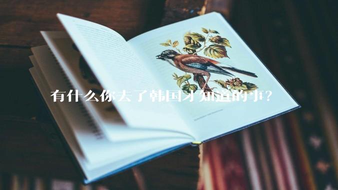 有什么你去了韩国才知道的事？