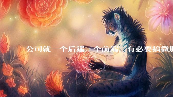 公司就一个后端一个前端，有必要搞微服务吗？
