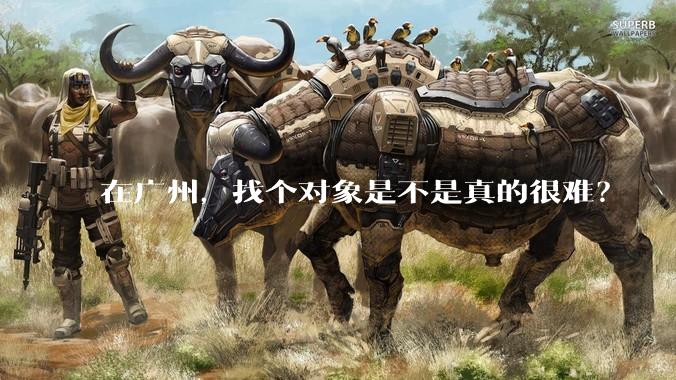 在广州，找个对象是不是真的很难？