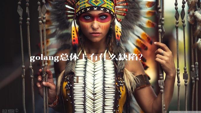 golang总体上有什么缺陷？