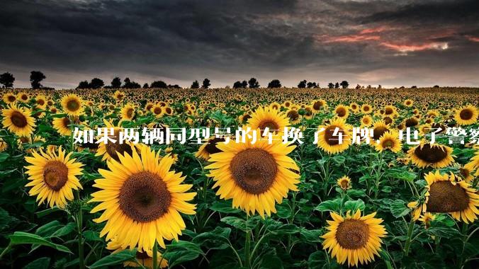 如果两辆同型号的车换了车牌，电子警察会发现吗？