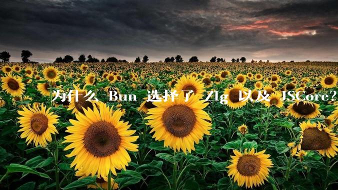 为什么 Bun 选择了 Zig 以及 JSCore？
