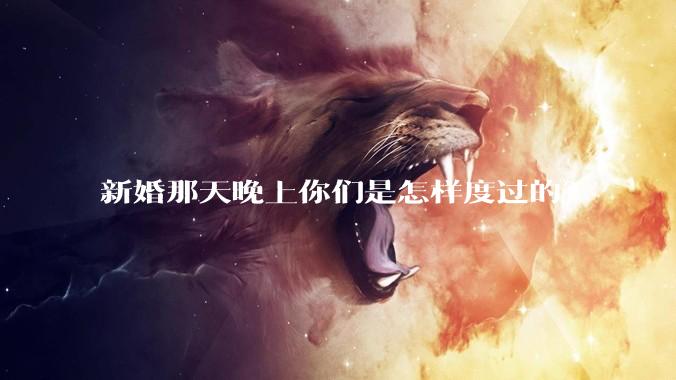 新婚那天晚上你们是怎样度过的？