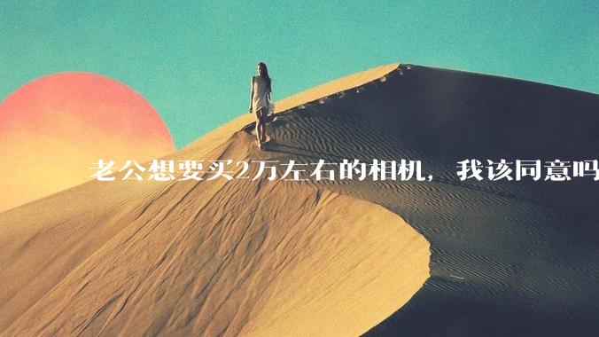 老公想要买2万左右的相机，我该同意吗？