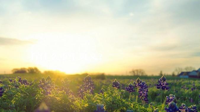 有什么重生爽文？