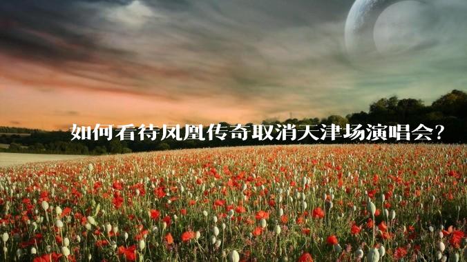 如何看待凤凰传奇取消天津场演唱会？