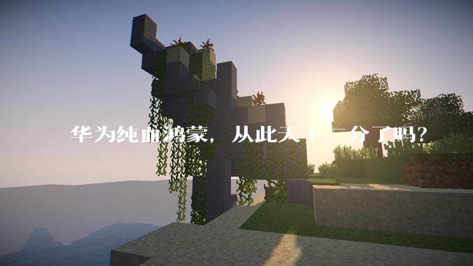 华为纯血鸿蒙，从此天下三分了吗？