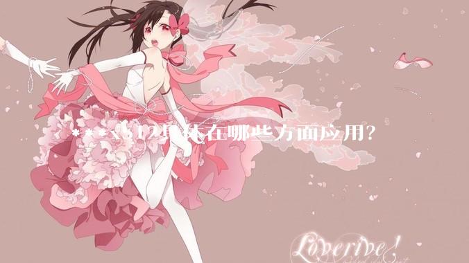 ***x512具体在哪些方面应用？