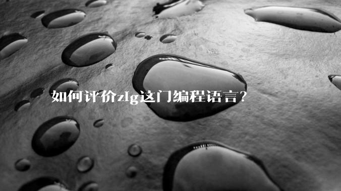 如何评价zig这门编程语言？