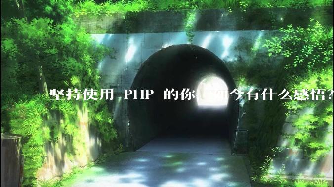 坚持使用 PHP 的你，如今有什么感悟？