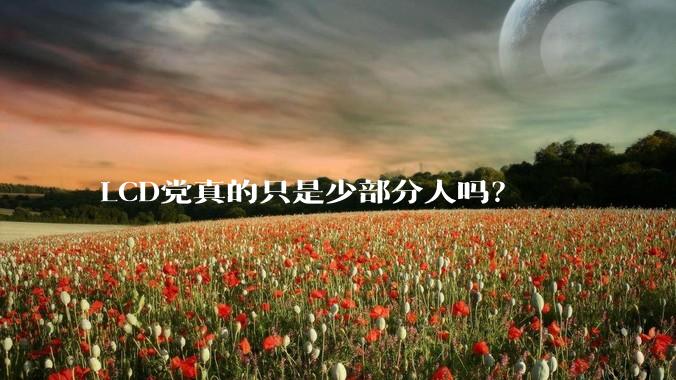 LCD党真的只是少部分人吗？